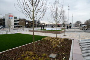 Commercial landscape maintenance, Runcorn